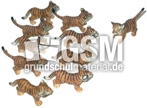 Tiger9+1.jpg